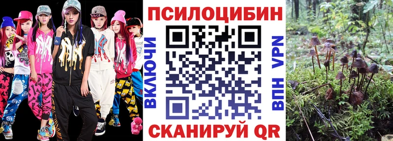нарко площадка официальный сайт  Инта  Псилоцибиновые грибы GOLDEN TEACHER  наркошоп  KRAKEN как войти 
